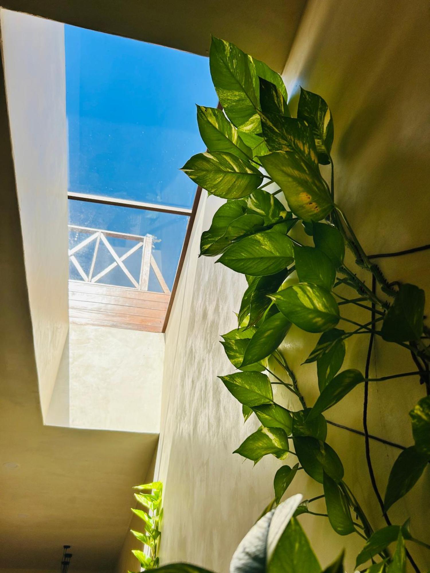 Apartmán Sunsteps Casa Holbox Exteriér fotografie